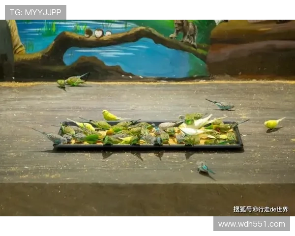 宝贝家直播：温馨亲子时光的欢乐互动平台